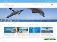 dolphinsjump.com