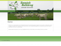 Emminkbalkbrug.nl