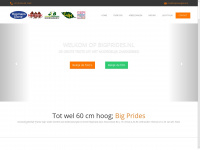 Bigprides.nl