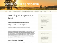 Acupunctuurbijmarjolein.nl
