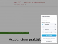 acupunctuurpraktijkjianli.nl
