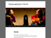 Flamencogitaarlesinutrecht.nl