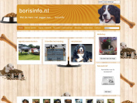 borisinfo.nl