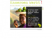 Kameroenwerkt.nl