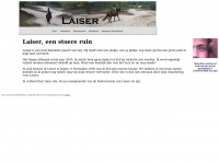 Laiser.info
