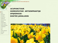 Acupunctuurspijkenisse.eu