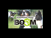 Hondenschoolboom.nl